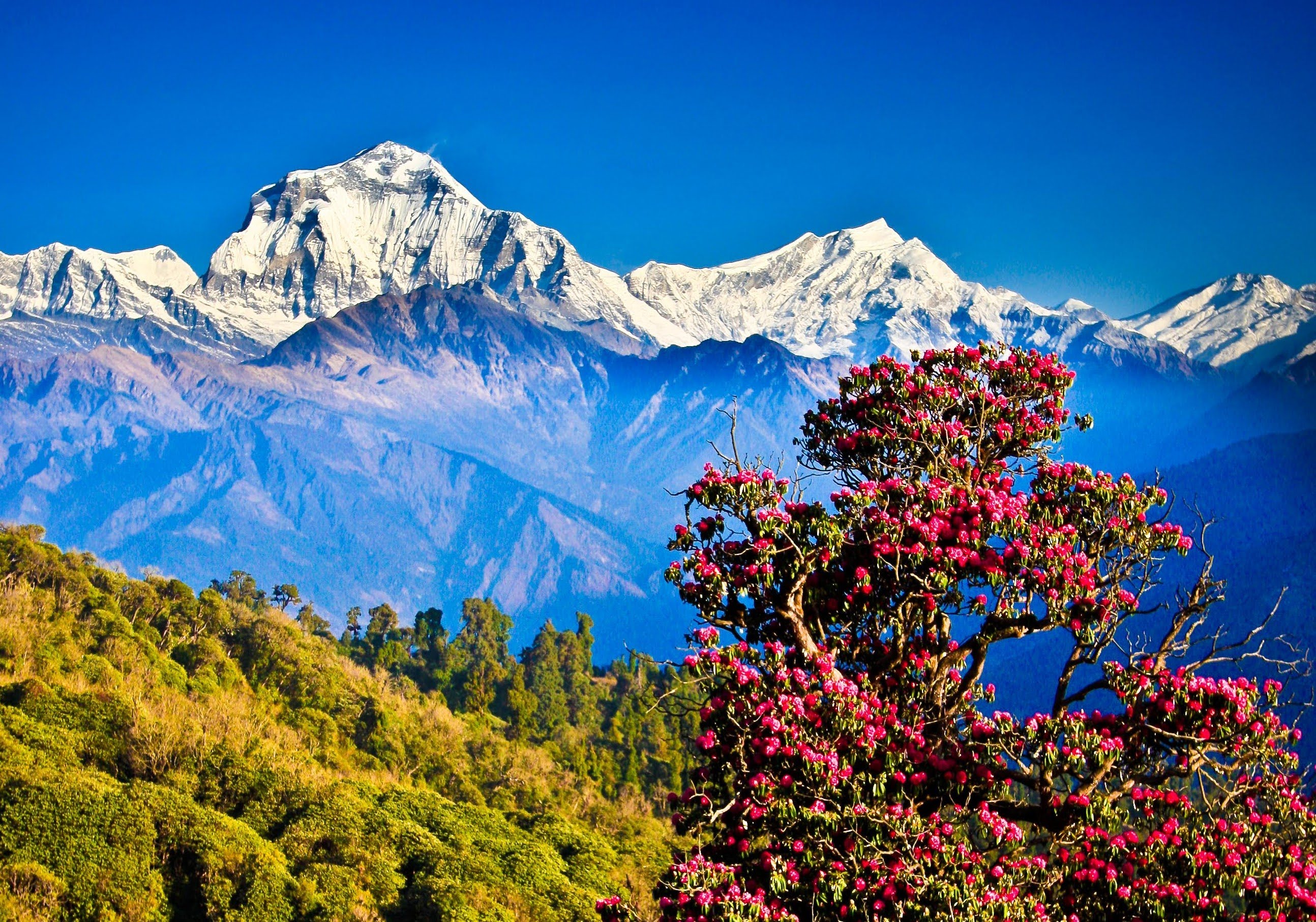 Enchanting Nepal Tour Package